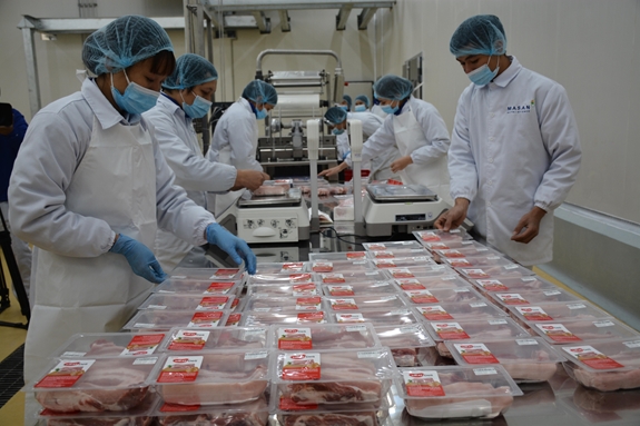 Đóng gói thịt lợn mát tại Tổ hợp chế biến thịt MSN Meat Hà Nam, Tập đoàn Masan.